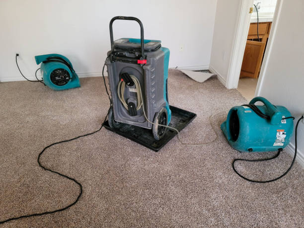Best Sewage cleanup and water damage restoration  in Mingo Junction, OH