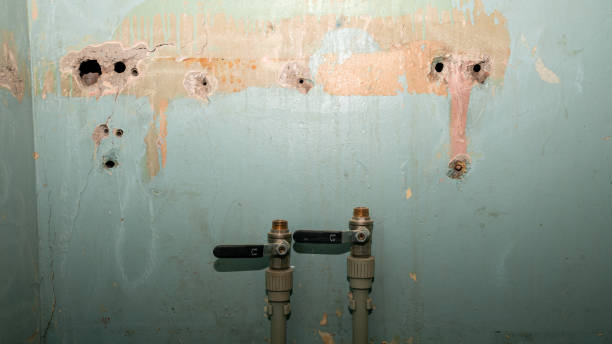 Best Sewage cleanup and water damage restoration  in Mingo Junction, OH