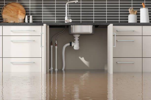 Best Emergency water damage restoration  in Mingo Junction, OH