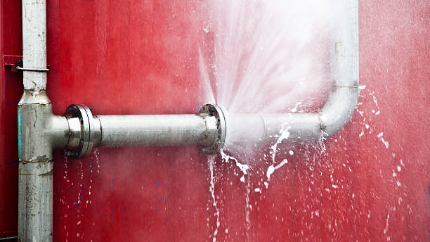 Best Water damage contractors near me  in Mingo Junction, OH